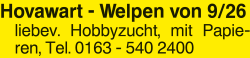 Vorschaubild der Anzeige, (Id: 2084665)