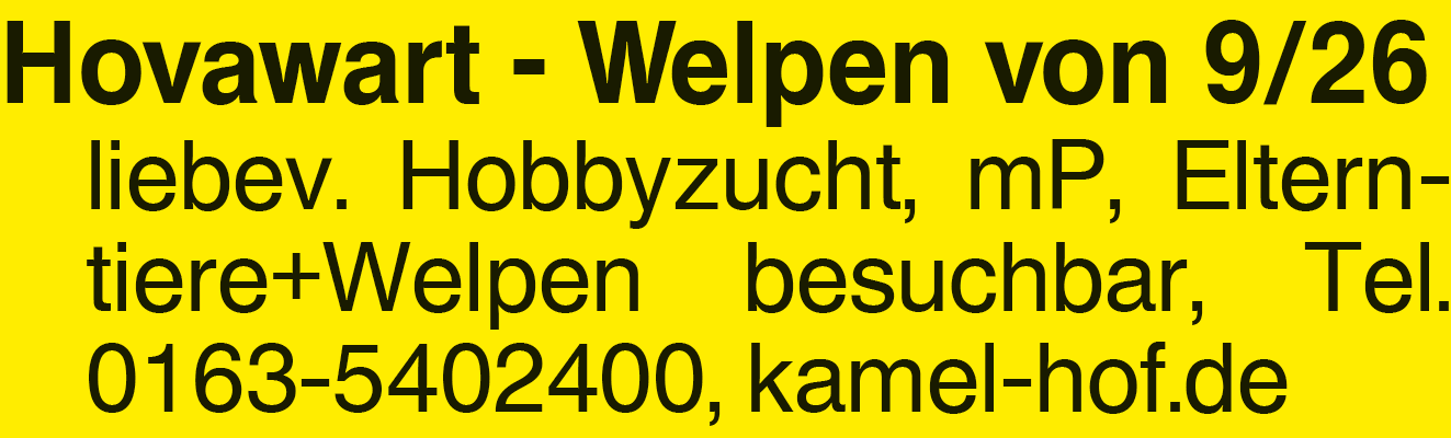 Vorschaubild der Anzeige, (Id: 2084666)